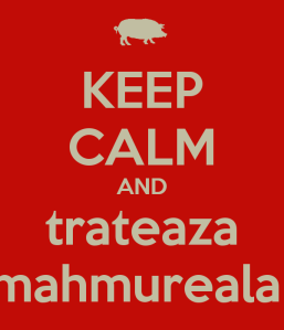 keep-calm-and-trateaza-mahmureala